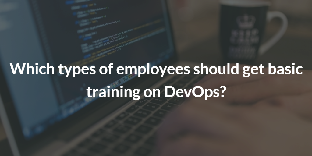 devops professionist