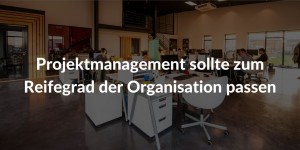 Projektmanagement Reifegrad Organisation