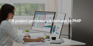 8project performance domain in pmp
