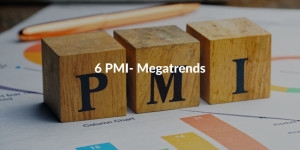 6 PMI-Megatrends