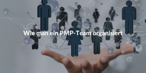 PMP Team