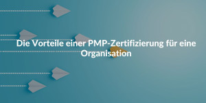 Vorteile von PMP für eine Organisation