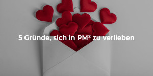 5 gründe si in pmp zu verlieben