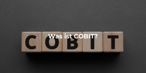 Was ist COBIT